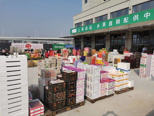 海吉星農(nóng)產(chǎn)品物流園開(kāi)業(yè)運(yùn)營(yíng) 安慶人的 菜籃子 拎得更穩(wěn)了